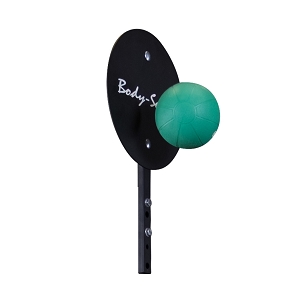 Body Solid Ball Target